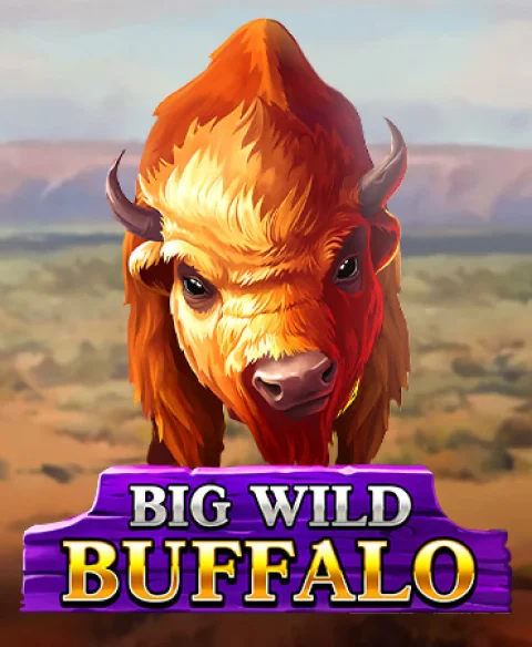 Play Big Wild Buffalo at Barbados Bingo Casino